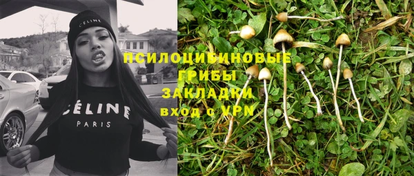 индика Абинск