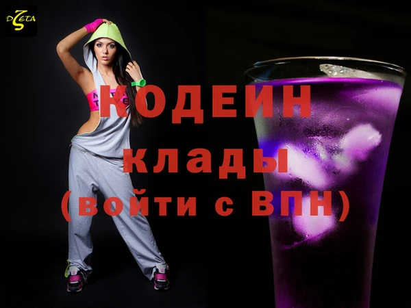 индика Абинск