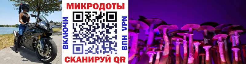 mega tor  дарк нет состав  Псилоцибиновые грибы Magic Shrooms  Томилино 
